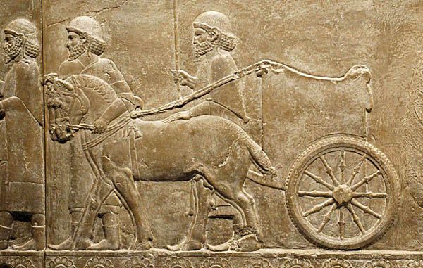 Ancient Persian stone relief from Persepolis depicting movement and commerce in the Achaemenid era, reflecting the historical roots of trade and the idea behind Sodagari